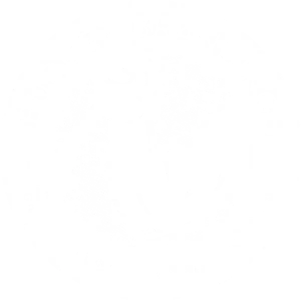 Budget Branding