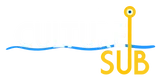 culturesubtshirts.com