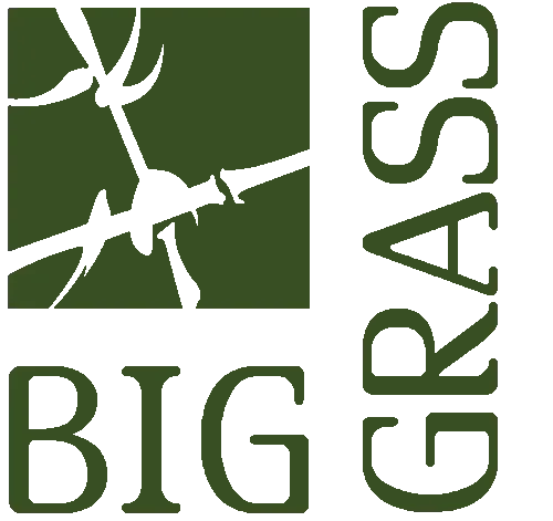 biggrassliving.com