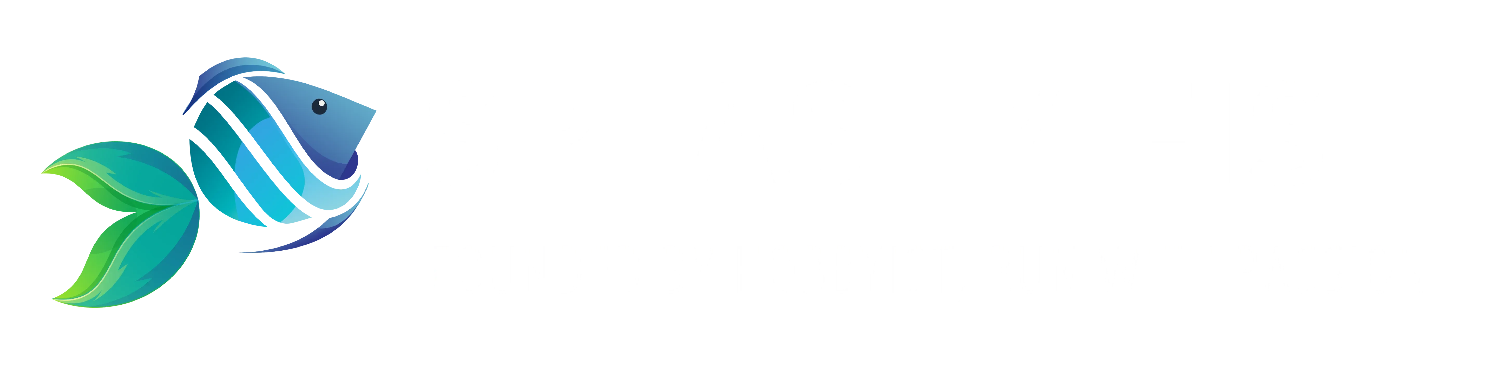 Splashyfishstore