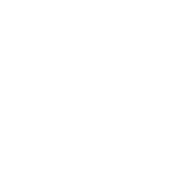 House of Pain