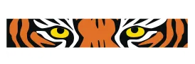 cattyshack.org