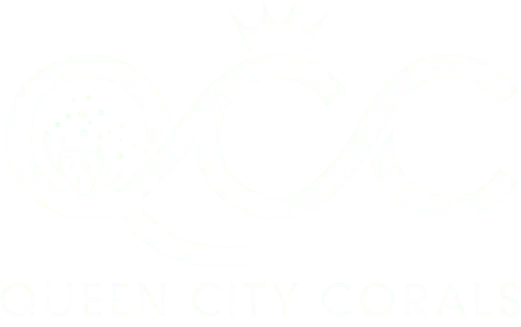 Queen City Corals