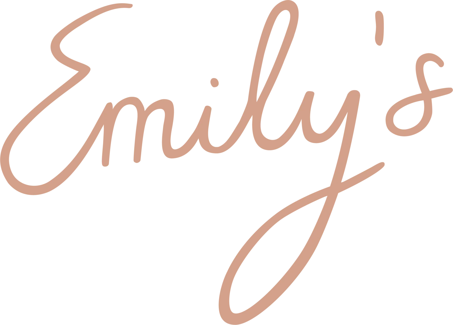 emilys.store