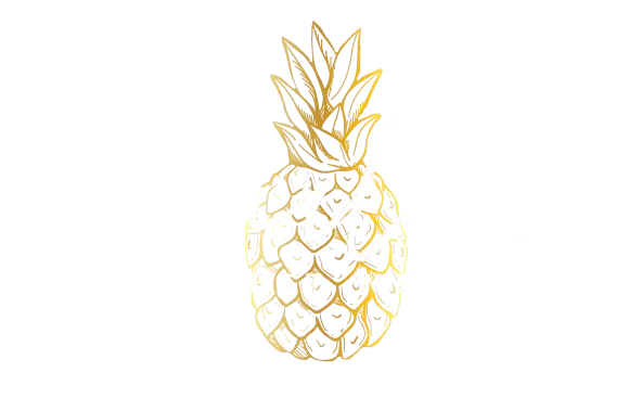 darlinsmodestwear.com