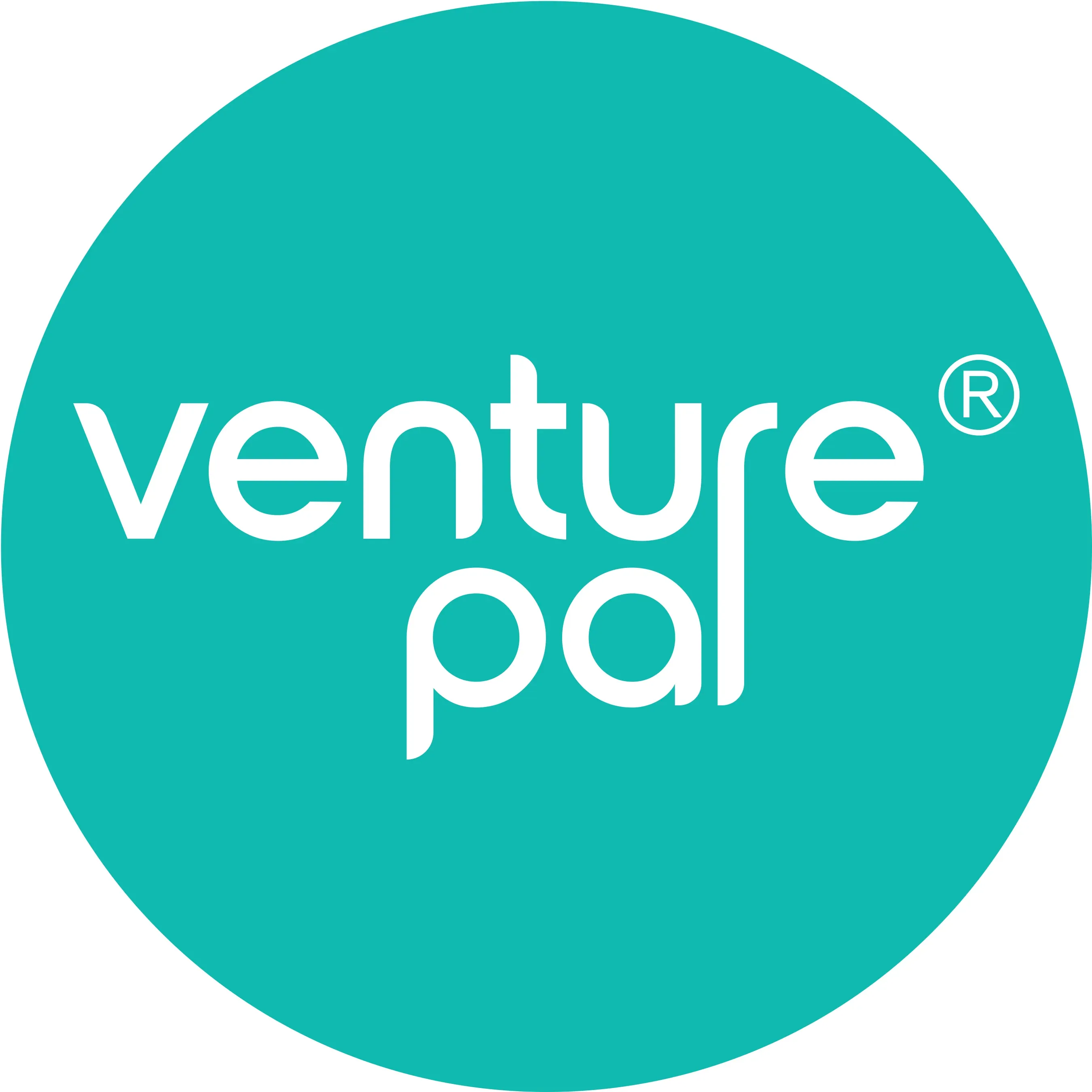 Venture pal