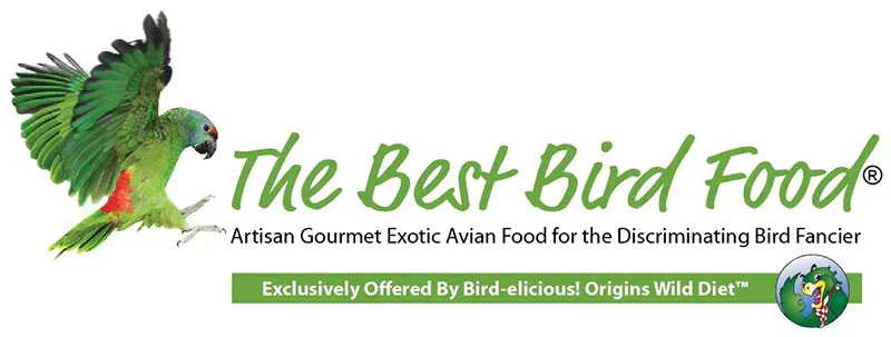 The Best Bird Food