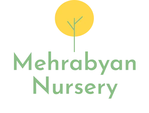 Mehrabyan Nursery