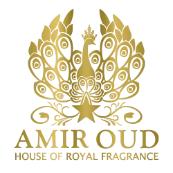 Amir Oud