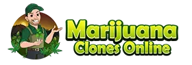 Marijuana Clones