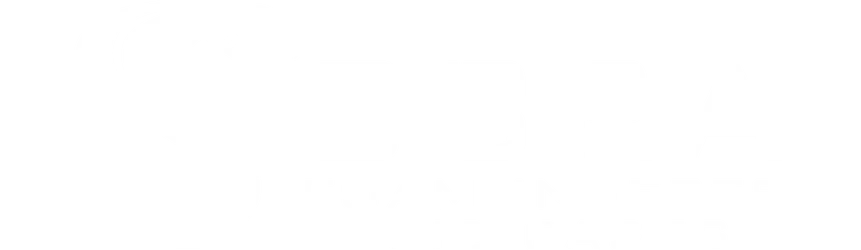 Cobra Foam Inserts