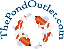 The Pond Outlet