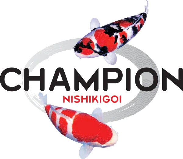 Champion Koi