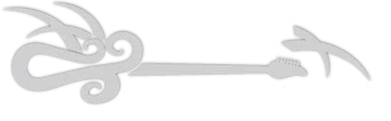 customguitarpicks.com.au