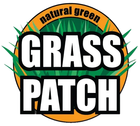 Natural Green Grass Patch