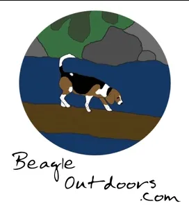 Beagle Outdoors