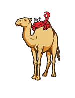 Timbuktu Restaurant