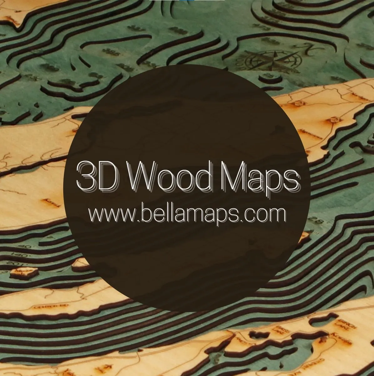 3D Wood Maps