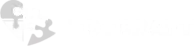 Totcraft