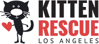 kittenrescue.org