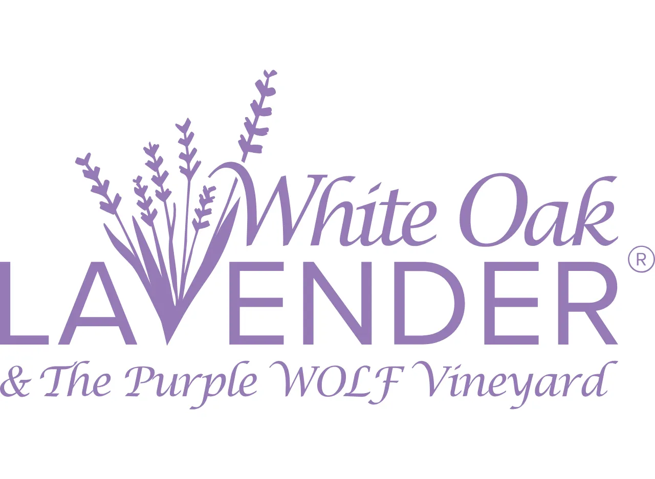 White Oak Lavender Farm