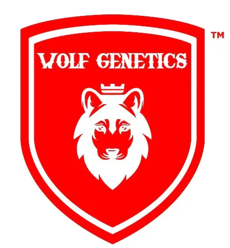 Wolf Genetics