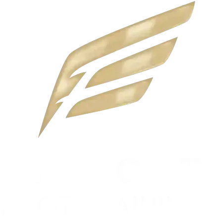 Inflight Pilot Training