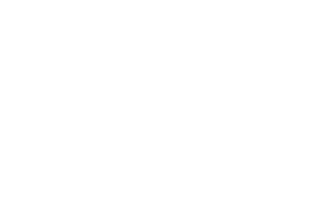 burrachos.com