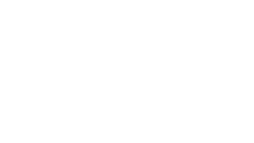 AO1 Foundation