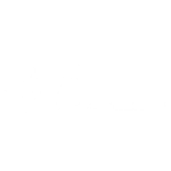 MASF Supplements