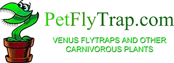 PetFlyTrap