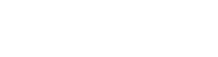 PizzaRev