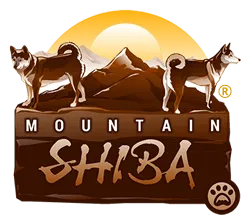 Mountain Shiba