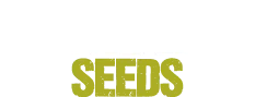 Zambeza Seeds De