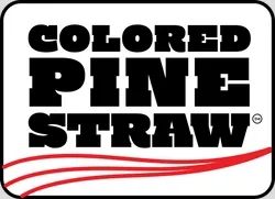 Colored Pine Straw