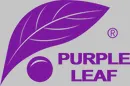 Purpleleaf