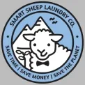 Smart Sheep Dryer Balls