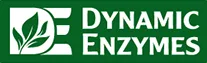 Dynamic Enzymes