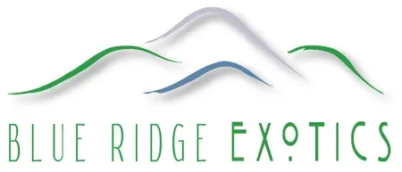 blueridgeexotics