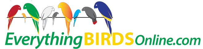 Everything Birds Online