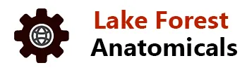 Lake Forest Anatomicals