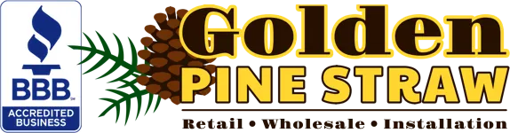 Golden Pine Straw