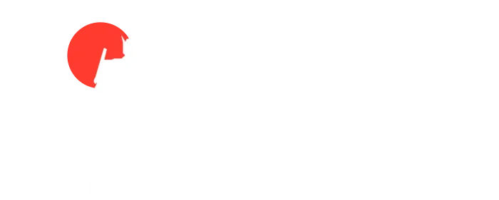 Time Tunnel Toys