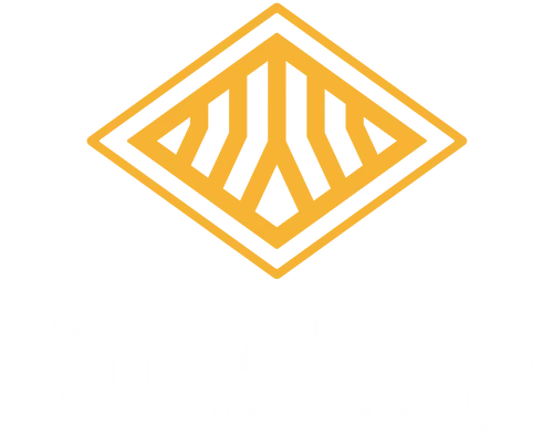 Bonanza Boots