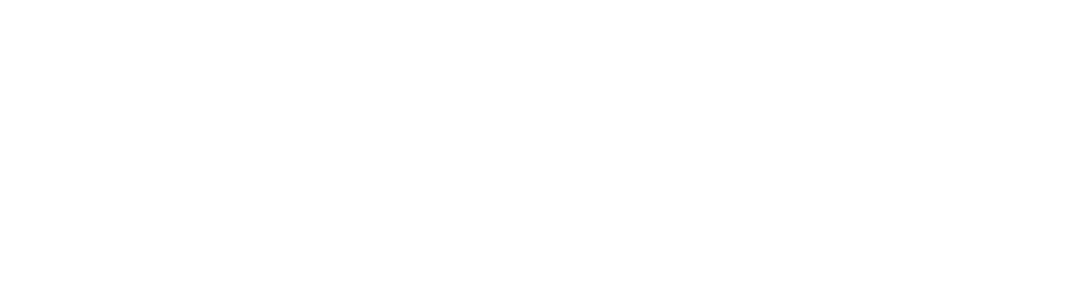 METASYSTEMS