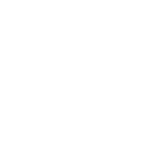 Elite Toys