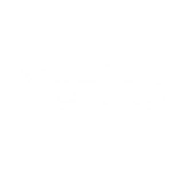 Kenko Imaging USA Official Store