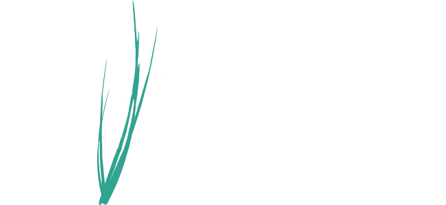 Pittsburgh Modular