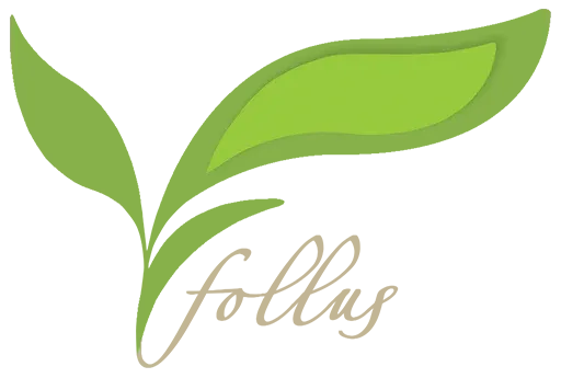 Follus.com