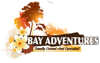 sdbayadventures.com